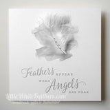 'FEATHERS APPEAR' QUOTE CARD